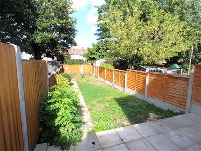 Picture 13